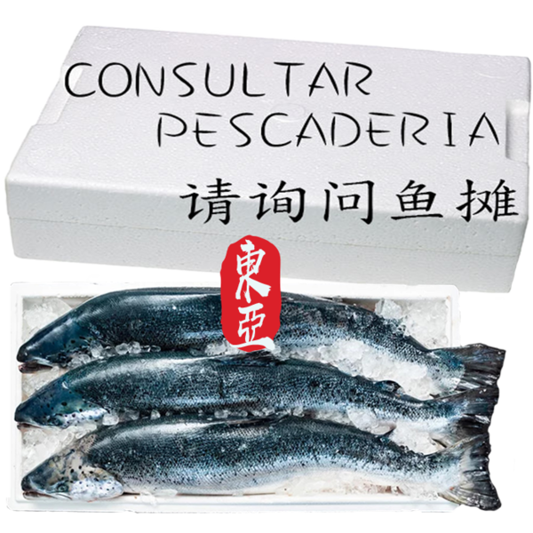 SALMON ROSADO CAJA CERRADA POR KG. 整箱紅鮭魚